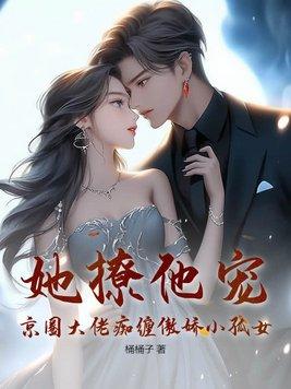 一位女律师的电视剧